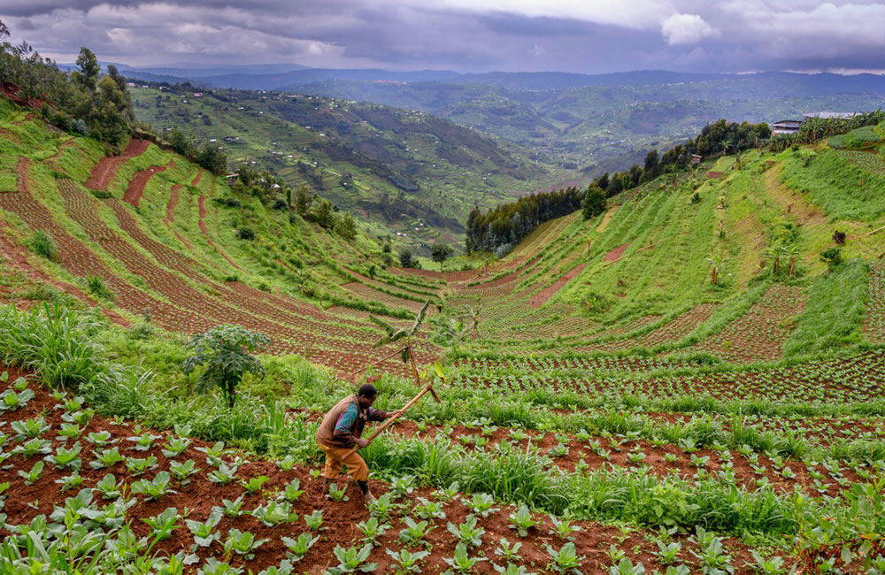 What Makes Rwanda An Exceptional Safari Destination